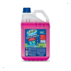Limpador Desincrustante e Desengraxante Galão 5L - Ar da terra