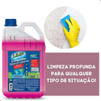 Limpador Desincrustante e Desengraxante Galão 5L - Ar da terra